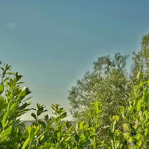  Bed & Breakfast Gelsomino