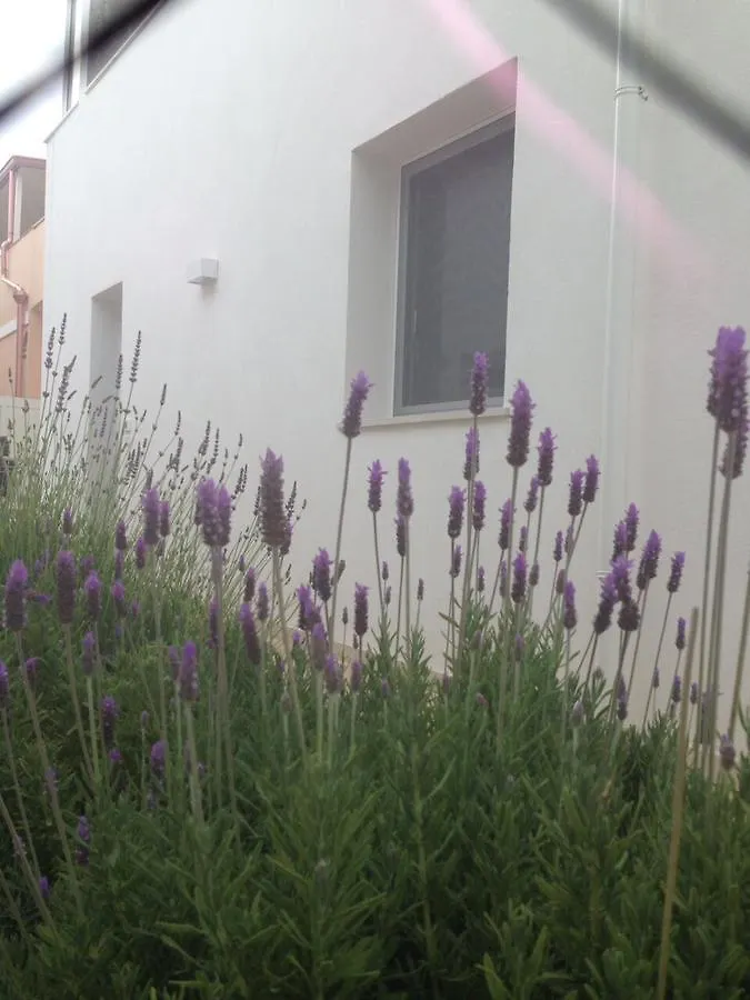 Aparthotel Borghetto Mediterraneo Santa Maria del Focallo